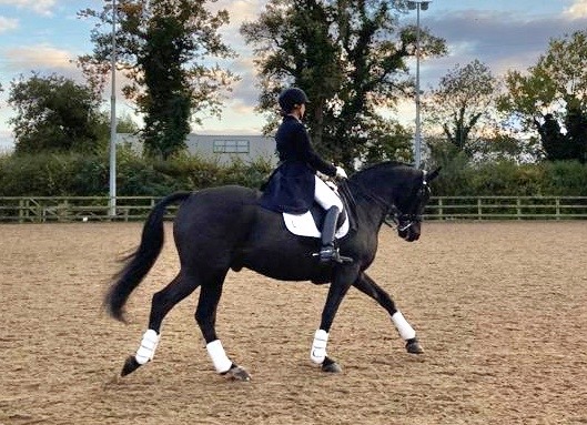 Stunning PSG rider and customer Tricia Baker gives her take on Hack Up Bespoke and the Buy & Book (subscription) facility.