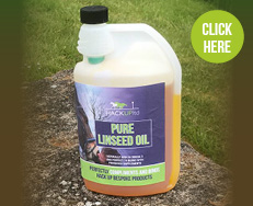 Pure Linseed Oil