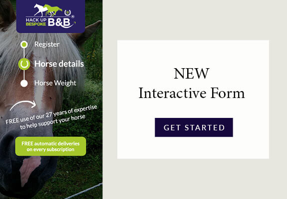 Interactive Form v2
